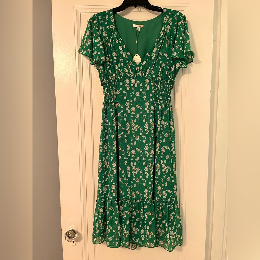 NWT Sophie Max long dress